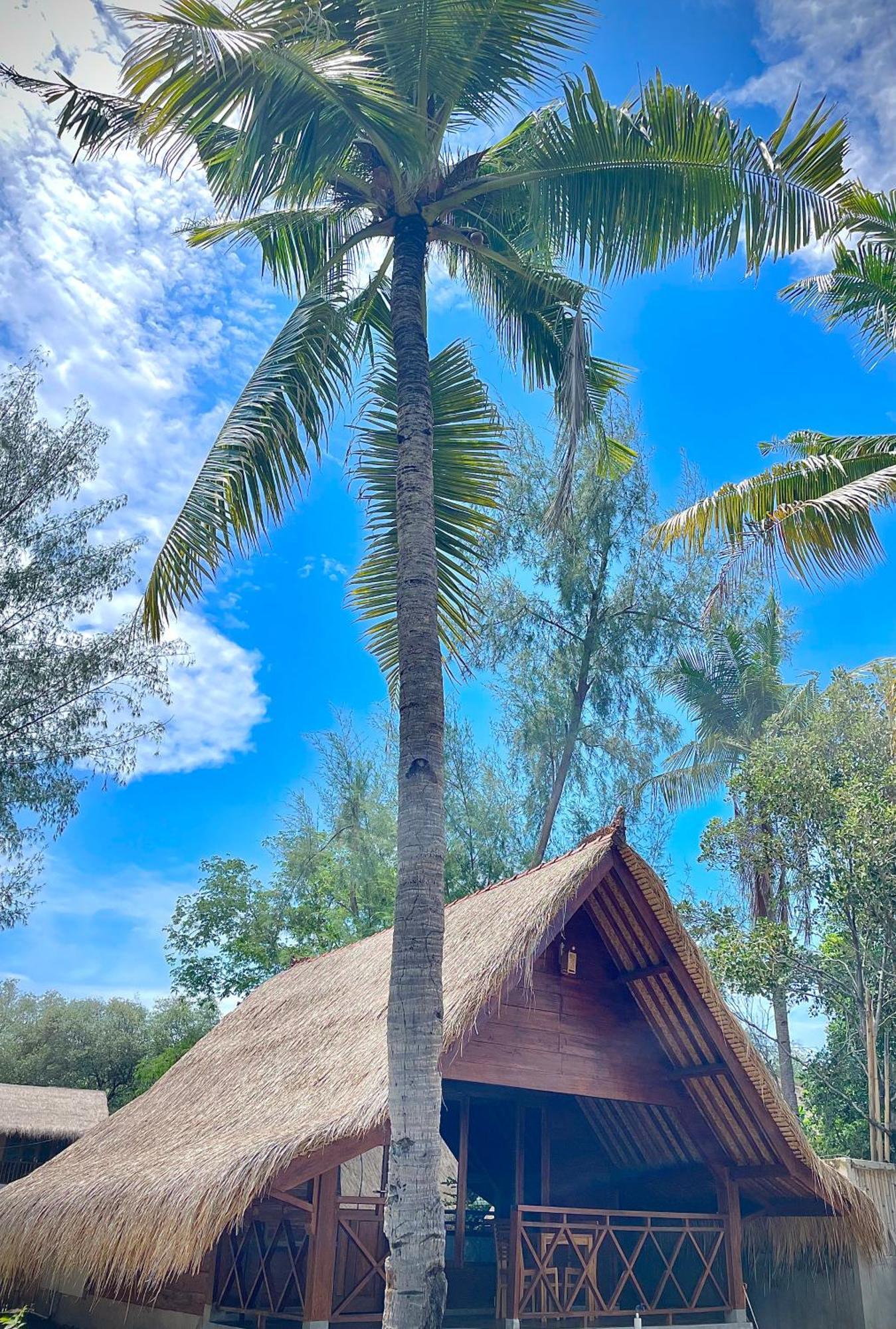 Saja Cottage, Gili Meno Zewnętrze zdjęcie